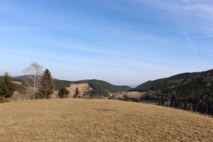 Blick Richtung Johannesbachklamm 3